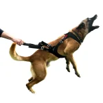 IQ Performance Pro - Cobra