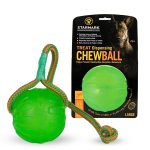 Starmark Swing & Fling Chew Ball