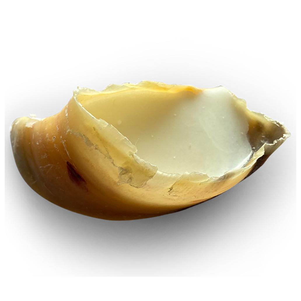 Casco Recheado Com Sebo De Ovelha - Image 1