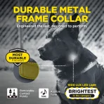 Dogtra 1200X Black - Image 7