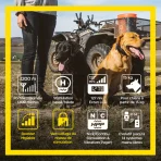 Dogtra Arc 1202S Free Plus - Image 5