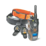 Dogtra Arc 802 Free Plus