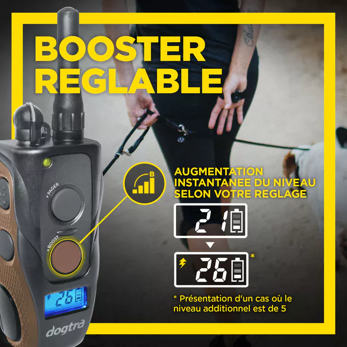 Dogtra Arc 800 Free Plus - Image 3