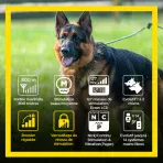 Dogtra Arc 800 Free Plus - Image 5